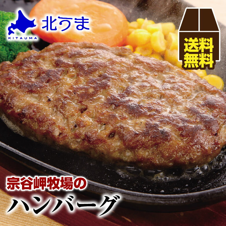 宗谷岬牧場のハンバーグ 1箱(120g×4個入り)×5 【ハンバーグ 牛肉 和牛 美味しい おいしい 肉汁 高級 北海道産 宗谷黒牛 お取り寄せ】お歳暮/プレゼント/グルメ/ギフト/贈り物/贈答 内祝い/お返し/父の日/母の日/敬老の日/お中元