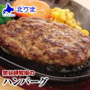 宗谷岬牧場のハンバーグ 120g×4個入り お試し 【ハンバーグ 牛肉 和牛 美味しい おいしい 肉汁 高級 北海道産 宗谷黒牛 お取り寄せ】お歳暮/プレゼント/グルメ/ギフト/贈り物/贈答 内祝い/お返し/父の日/母の日/敬老の日/お中元元 1