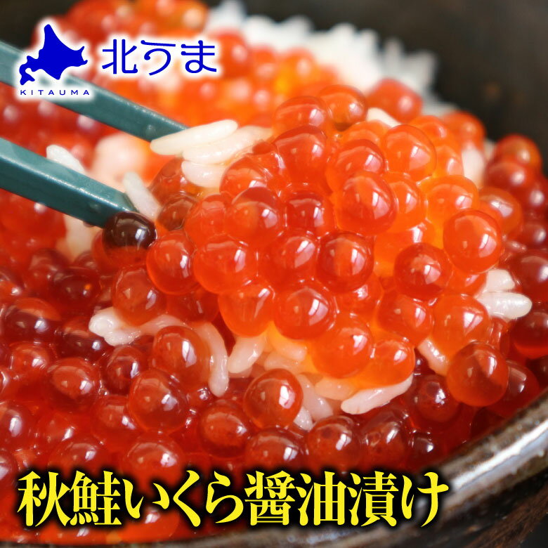 秋鮭いくら醤油漬け 500g 【いくら 