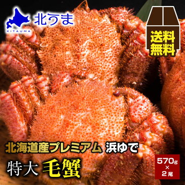 【期間限定/宗谷産ほたて無料同梱中！】毛ガニ 1.14kg（570g×2）【毛蟹 ケガニ けがに け蟹 かに 蟹 オホーツク 加工 北海道 冷凍 グレース シュリンク包装 ギフトプレゼント グルメ 贈り物 贈答 食品 食べ物 内祝い お返し お歳暮 敬老の日 お中元】