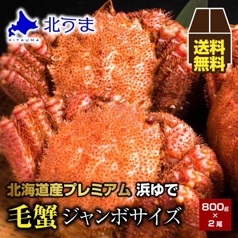 【期間限定/宗谷産ほたて無料同梱中！】毛ガニ 1.6kg（800g×2）【毛蟹 ケガニ けがに け蟹 かに 蟹 オホーツク 加工 北海道 冷凍 グレース シュリンク包装 ギフトプレゼント グルメ 贈り物 贈答 食品 食べ物 内祝い お返し お歳暮 敬老の日 お中元】