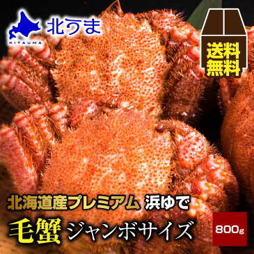 【期間限定/宗谷産ほたて無料同梱中！】毛ガニ 800g【毛蟹 ケガニ けがに け蟹 かに 蟹 オホーツク 加工 北海道 冷凍 グレース シュリンク包装 ギフト プレゼント グルメ 贈り物 贈答 食品 食べ物 内祝い お返し お歳暮 敬老の日 お中元】