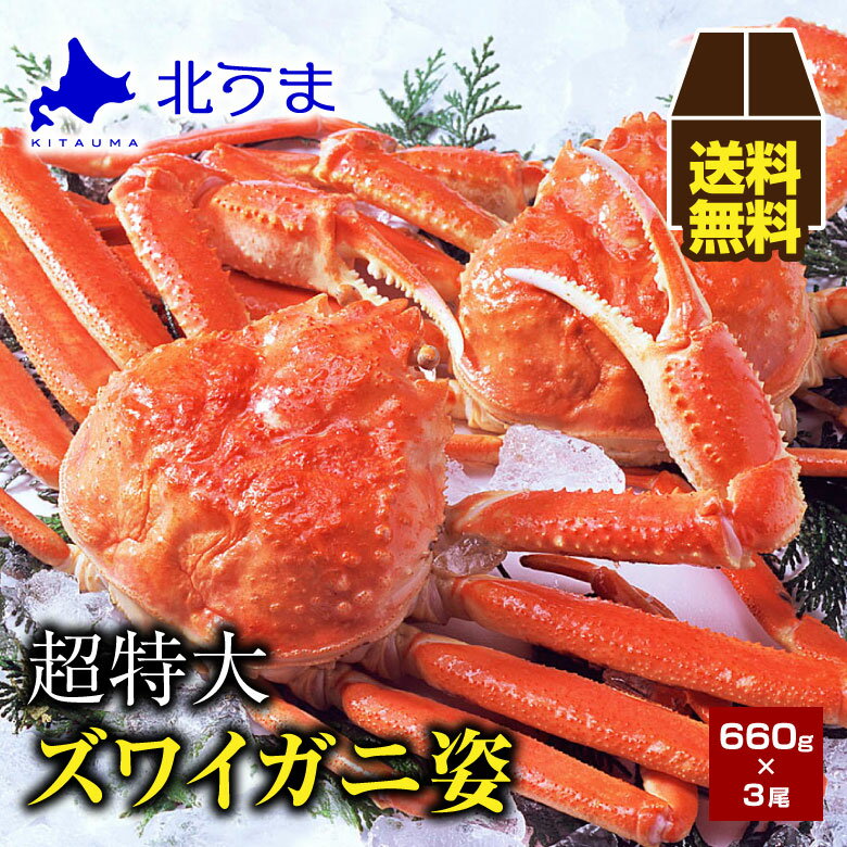 【期間限定/宗谷産ほたて無料同梱中！】ズワイガニ 660g×3尾【ズワイ蟹 ズワイガニ ずわいがに ずわい蟹 特大 姿 北国 ズワイ姿 ズワイ姿 姿 かに 蟹 オホーツク 加工 北海道 冷凍 グレース シュリンク包装 ギフト プレゼント グルメ 贈り物 お歳暮】