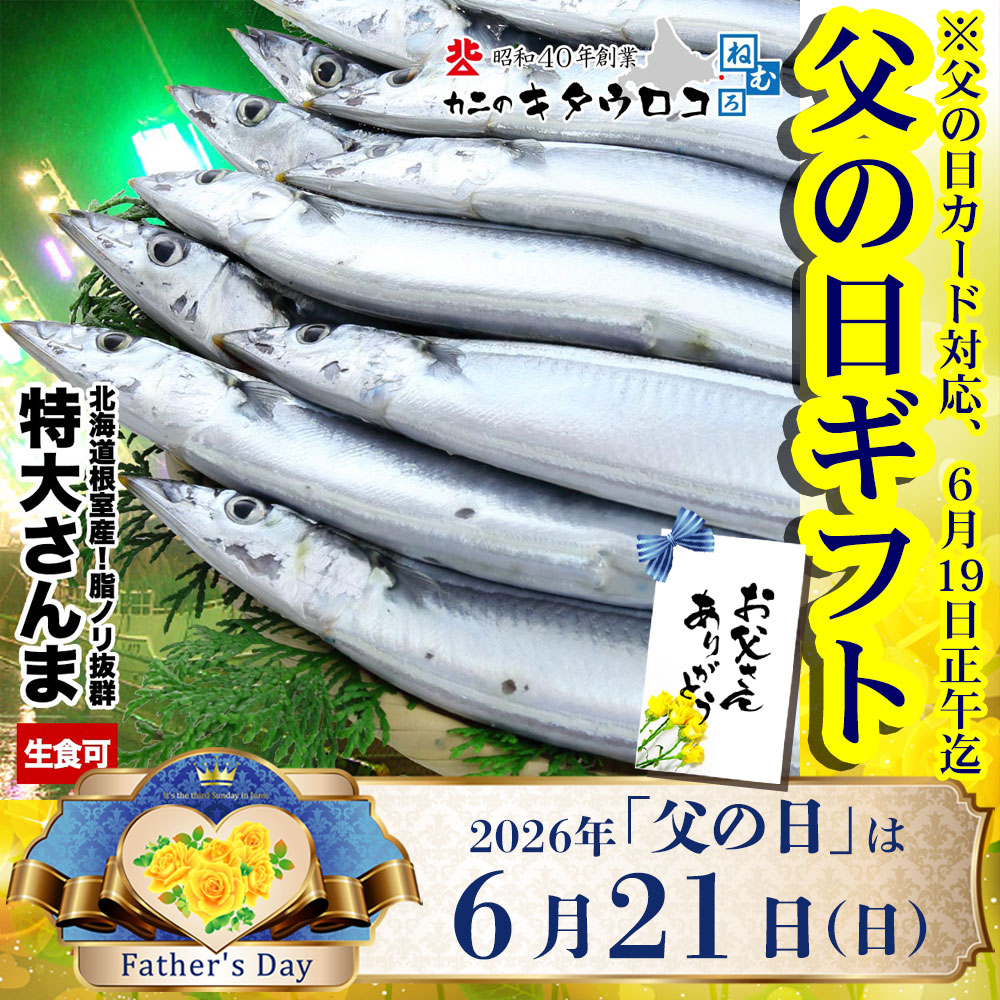ご家庭の味方！ 北海道 根室産 特大 冷凍サンマ 1.5kg 1箱 9〜11尾入 お刺身可 送料無料 さんま 秋刀魚 父の日 お中元 2