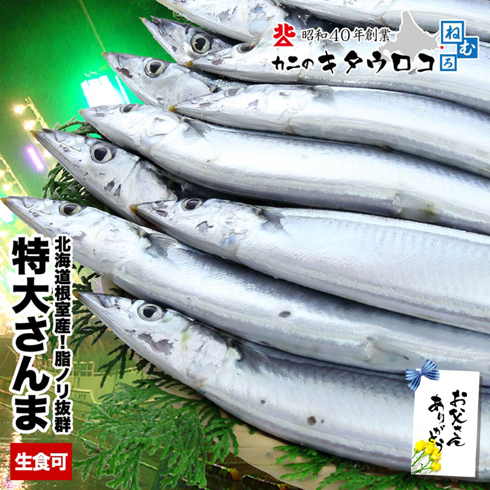 ご家庭の味方！ 北海道 根室産 特大 冷凍サンマ 1.5kg 1箱 9〜11尾入 お刺身可 送料無料 さんま 秋刀魚 父の日 お中元