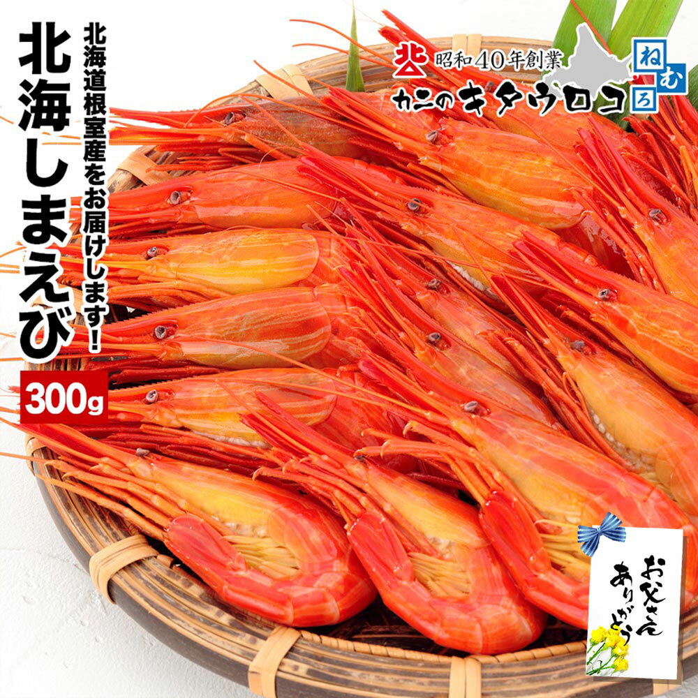 Rakuten - ＼まだ間に合う！父の日／ 北海道根室産 しまえび 300g (16尾から18尾入) 父の日 お中元 母の日