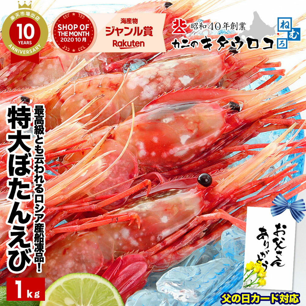 特大ぼたんえび 14尾前後入 1kg 送料無料 エビ ボタンエビ 父の日 海鮮 シーフード エビ 海産物