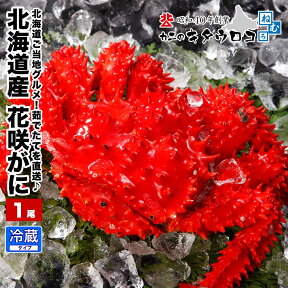 【2024年度受付】 花咲がに 北海道産★20,000尾突破★茹でたて直送！350〜500g前後 1尾入 かに カニ 蟹 花咲ガニ ご当地グルメ