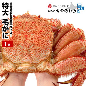 【年末指定OK】 超特大サイズ 毛ガニ 1尾 1kg〜1.1kg 北海道産 ロシア産 送料無料 毛がに 取り扱い24,000尾突破！毛蟹 かに カニ 蟹 ka 年末指定