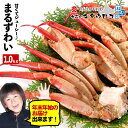 年末お届けもOK♪かに カニ 訳ありずわいがに!その名は「ま...