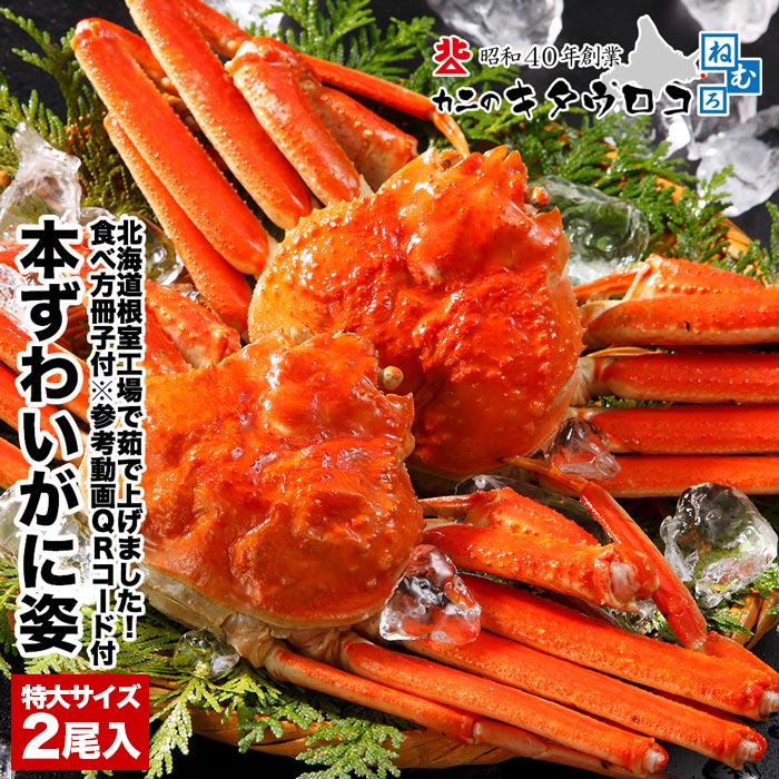 希少な北海道工場加工 ずわいがに 姿まるごと 800〜900g×2尾入 計1.6〜1.8kg かに カニ ボイル 蟹 ズワイガニ ギフト 年末お届け可 お歳暮 御歳暮 送料無料