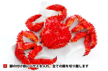 カニ 花咲がに 北海道産★14,000尾突破★茹でたて直送!350〜500g前後 1尾入 かに カニ 蟹 花咲ガニ ご当地グルメ