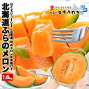 【今季受付終了】 16,000玉突破の当店ベストセラー♪ 北海道 ふらのメロン 約1.6kgx1玉入 優品または秀品をお届け!送料無料 朝もぎ おためし 富良野メロン ギフト 同梱不可 御中元 お中元 お中元返し のし対応 贈り物 お試し 夏グルメ