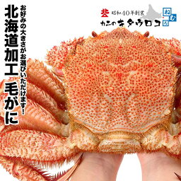 カニのキタウロコ カニ 特大 毛ガニ 北海道産 ロシア産 送料無料 毛蟹 かに カニ 蟹 ka