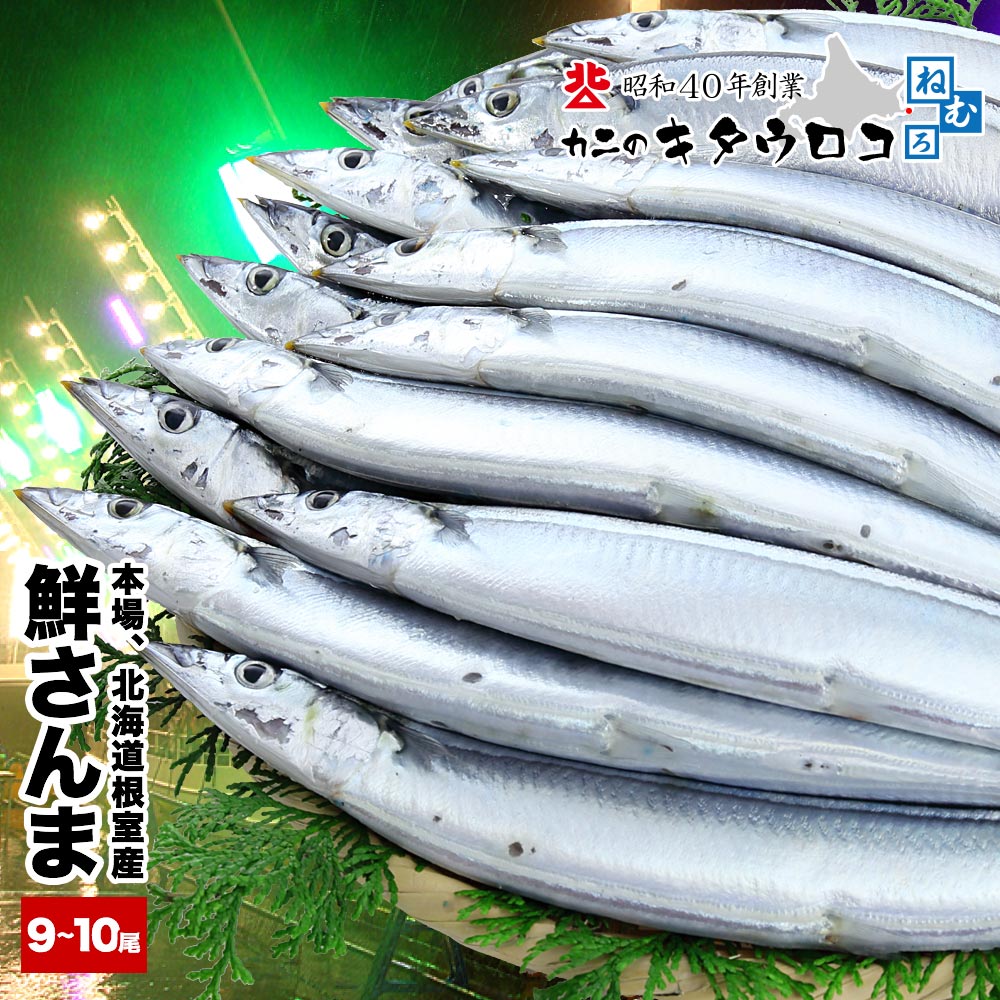 【2023年度予約開始時期未定】 さんま 本場 北海道 根室産 鮮サンマ 110g前後×9〜10尾入 計 約1kg【送料無料】サンマ祭り 同梱不可 指定日不可 秋刀魚 生さんま