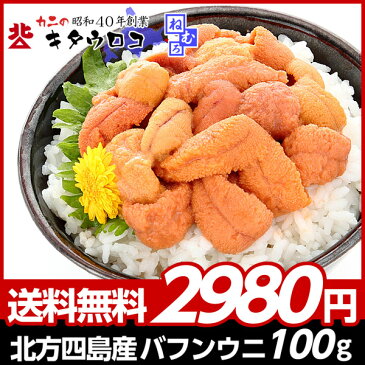 【2個ご購入で500円OFF】むきたて直送！北方四島産 エゾバフンウニ 100g ※赤茶系ミックス 塩水パック 【送料無料】【指定日不可】【同梱不可】海産 海産物 シーフード うに 雲丹 丼 お取り寄せ お刺身