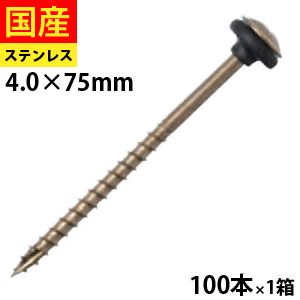 20 P2ܡ 롼եӥ֥ ƥ쥹 SUSXM-7 ץߥѥå 4.075 1Ȣ 100