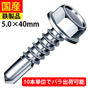【最大1000円OFF】 ドリルスビス ヘックス ビス ネジ テックスビス セルフビス セルフドリルビス 鉄板ビス ワッシャー 六角 ロッカク ヘックス HEX...