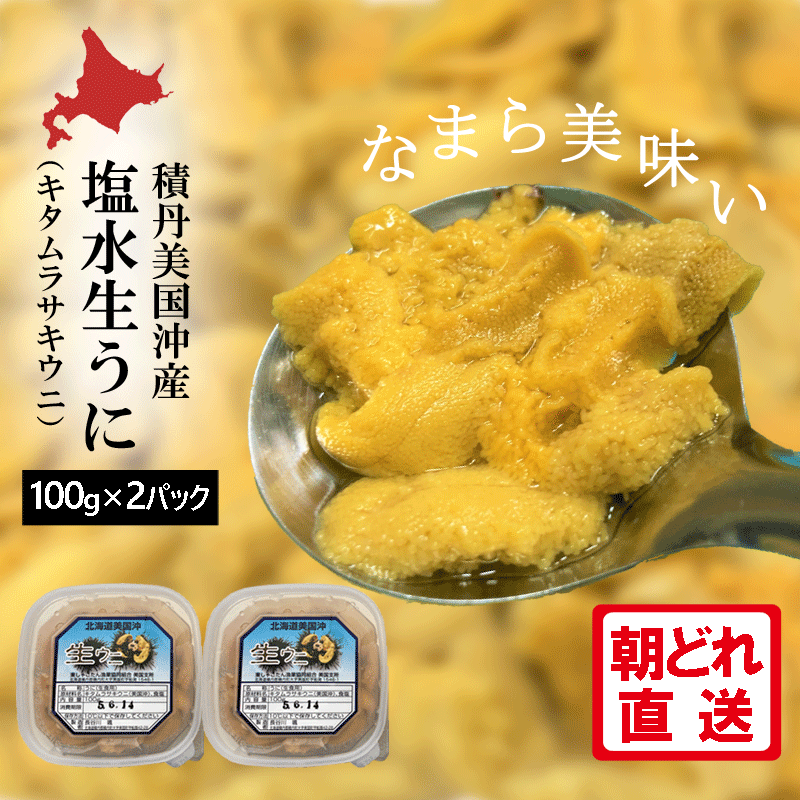 【4日間限定 P2倍】 うに ムラサキウニ 生うに 天然 塩水うに パック 100g × 2パック 北海道 積丹 食べ方 無添加 新鮮 朝どれ 未冷凍