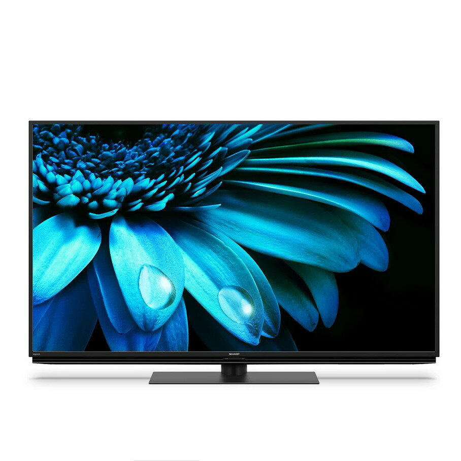 【関東指定エリア　送料/設置無料】シャープ　4T-C55EL1　55インチ　4K液晶テレビ　AQUOS　アクオス【全国配送】SHARP