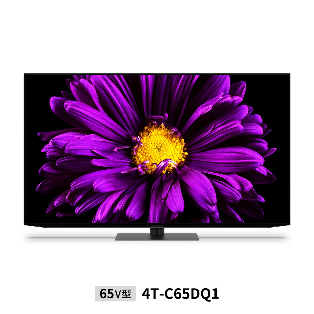 【関東・関西指定エリア送料無料】シャープ 　65インチTV　4T-C65DQ1　AQUOS　つややかな黒と低反射を両立。聞き取りやすい前向きサウンド搭載、4K有機ELテレビ　4K有機ELテレビ 　DQ1ライン　65型