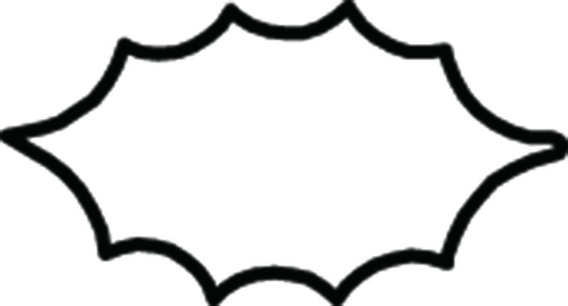 Rakuten - 生抜 極小 柊 送料無料