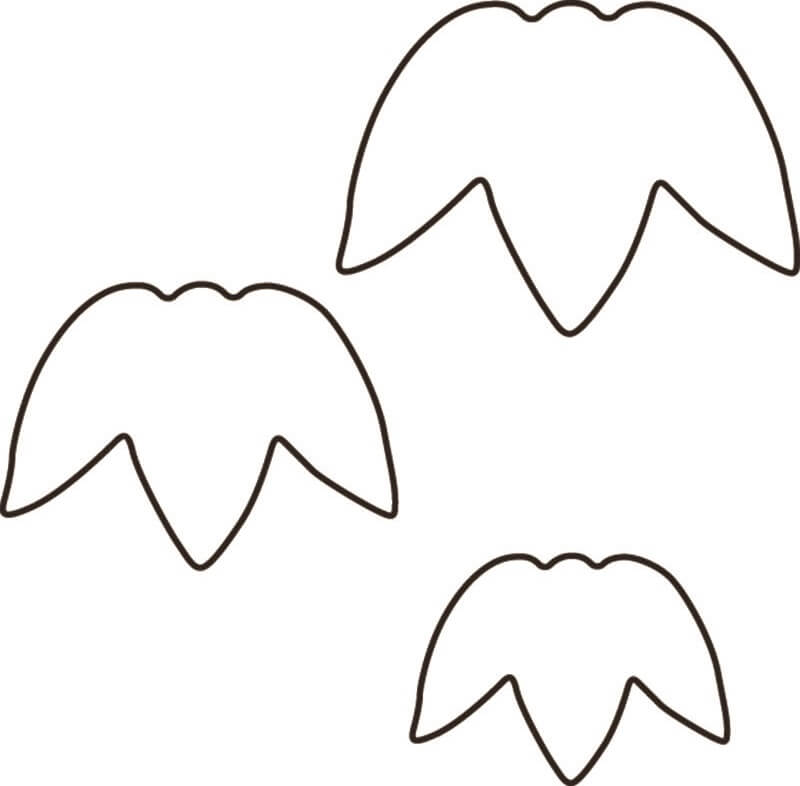 生抜 竹 大 #3 送料無料