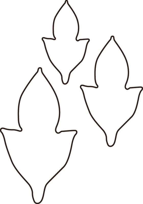 生抜 牡丹 大 #3 送料無料