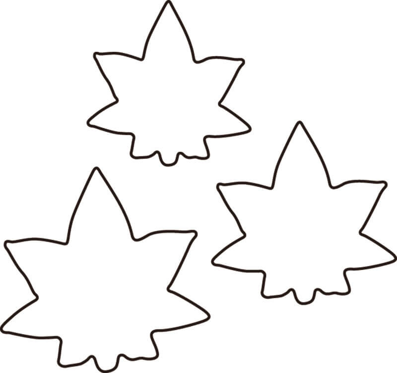 生抜 3PC 紅葉 送料無料