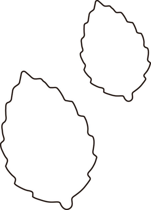 生抜 木の葉 大 #2 送料無料