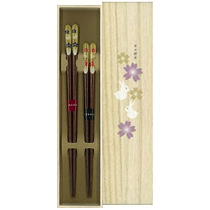 イシダ 一双 吉兆桐箱夫婦箸 楽うさぎ お箸 ペア 箸 はし