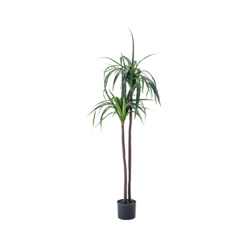 フェイクグリーン ドラセナ GRN-15(グリーン) フェイクグリーン 観葉植物 人工観葉植物 ドラセナ 葉 造花 インテリア 癒し グリーン Azumaya 東谷 【送料無料】【メーカー直送品】【代引不可】【沖縄・北海道・離島・一部地域お届け不可】 フェイクグリーン ドラセナ GRN-15(グリーン) フェイクグリーン 観葉植物 人工観葉植物 ドラセナ 葉 造花 インテリア 癒し グリーン Azumaya 東谷 【送料無料】【メーカー直送品】【代引不可】【沖縄・北海道・離島・一部地域お届け不可】