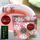 プチギフト 小原春香園 紅茶 アイリッシュブレックファースト Irish Breakfast ティーバッグ ギフト プレゼント かわいい 手土産 お試し おためし 【キャンセル・返品・交換不可】【4点までメール便可能】(4)