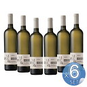 【箱入りセットでお買い得】ヴィヴェラ社 サリズィーレ エトナ・ビアンコ750ml 【6本セット】 【 ※ご注文後のキャンセル・返品・交換不可。 】