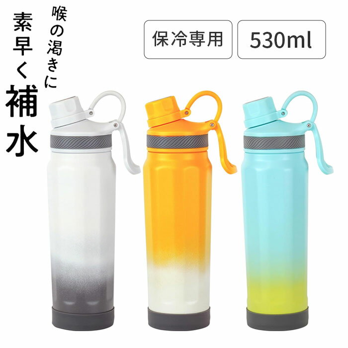 水筒 冷水筒 フォルテック キャリングボトル 保冷専用 530ml 和平フレイズ ボトル 選べる3カラー ホワイト×グレー オレンジ×ホワイト ブルー×グリーン