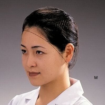 パル ヘアーネット （100枚入）T20663 Mサイズ( キッチンブランチ )