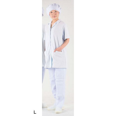 テクノファインコート 女子襟有り半袖白衣 NR-432 L( キッチンブランチ )