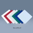 TC ツイルナフキン SP2026 (10枚入) 約470×470mm 【 ウェッジウッド】