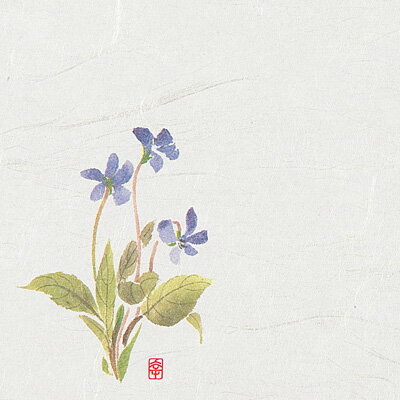 【仕様】 幅×奥行：120×120mm 絵柄の位置：左下 ●和紙の表面に特殊加工してありますので、絵柄の上に直接食品を載せて頂けます。 ●水分・油分を通さず、盛り付けの美しさを保ちます。 ※御注文の際は、100枚単位でお願いします。 ※入数