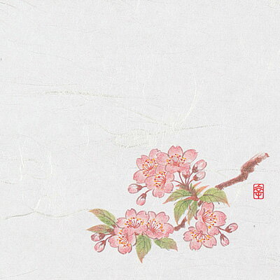 ニュー四季懐紙 4寸 （100枚入） NS-18 桜（2月～4月） 120×120mm( キッチンブランチ )