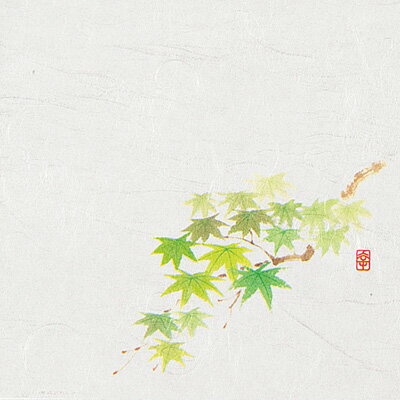 ニュー四季懐紙 4寸 （100枚入） NS-19 緑もみじ（5月～8月） 120×120mm( キッチンブランチ )