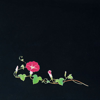 OP クリア四季 （200枚入） 朝顔 OS-18-8 180×180mm( キッチンブランチ )