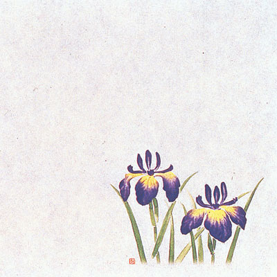 遠赤保鮮紙 小 （100枚入）菖蒲 （4月～6月）( キッチンブランチ )