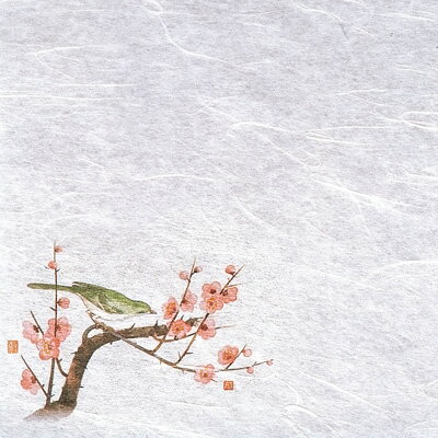 新・濡れ奉書紙（100枚入） 梅 （12月～3月） 200×200mm( キッチンブランチ )