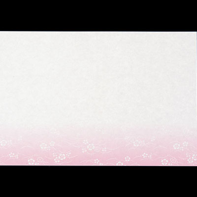 尺三まっと 華かすみ（100枚入）なでしこ SAK-08 390×264mm( キッチンブランチ )