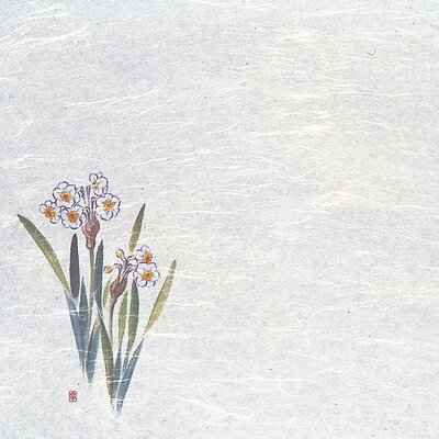 【仕様】 メーカー品番：WS-8 縦×横：390×264mm 絵柄の位置：左下 尺3まっと 遠赤抗菌和紙(食品雲流) 遊膳 遠赤抗菌和紙 尺3まっと(100枚入) ●無蛍光雲流遠赤抗菌和紙を使用しております。 〈特長〉 ●優れた抗菌効果で雑菌(大腸菌、病原性大腸菌O-157)の発生を強力に防ぎ、付着した雑菌の繁殖を抑え、ゆるやか に滅菌し長時間効果が持続します。 ●遠赤外線効果が、素材を活性化し、素材のうまみを引き出 します。 ※抗菌