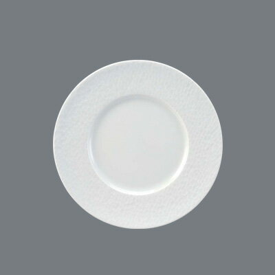 アピルコ アクア プレート APAQ280 直径280mm( キッチンブランチ )