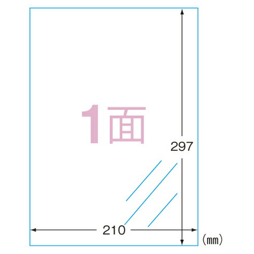 エーワン ラベルシール透明 A4 1面ノーカット 30601