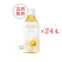 【あす楽】全国送料無料有機ハーブティー カモミール 350ml 1ケース（24本） ナッシュ オーガニックハーブティー