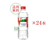 ڤڡ̵åƥ롡PET500ml124ˡ͢ʡ